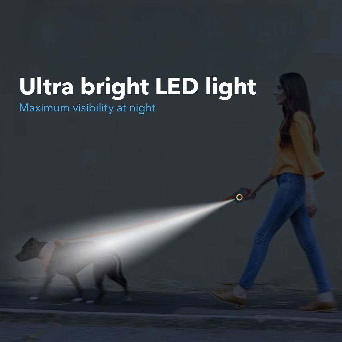 LED Retractable Dog Leash
