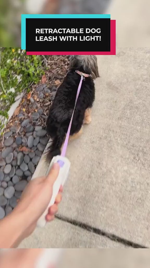 LED Retractable Dog Leash